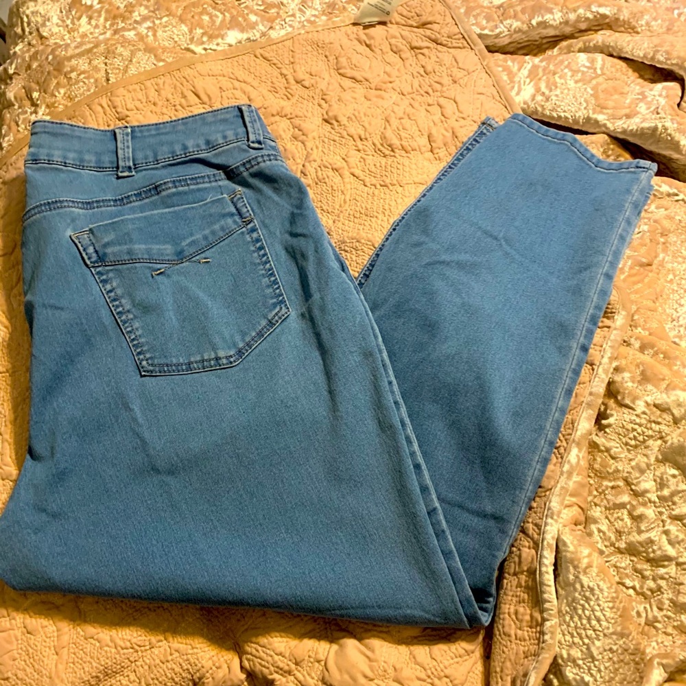 Plus Size Lee Riders Skinny Jeans